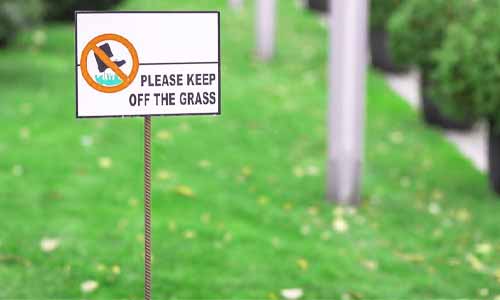 landscaping ideas to keep cars off lawn