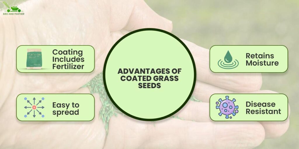 Advantages Of Coated Grass Seeds