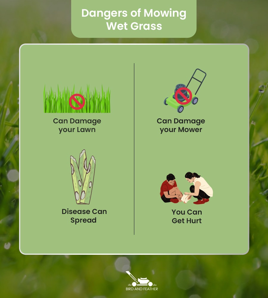 Dangers Of Mowing Wet Grass
