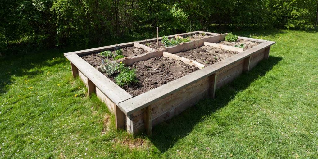 Raised Bed Vegetable Gardening, How To Start A Raised Bed Vegetable Garden From Scratch