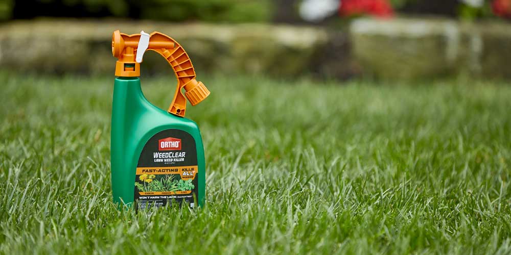 A Guide to Buying the Best Weed and Grass Killers for Large Lawns 