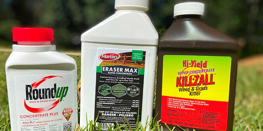 What to Look for While Buying Weed Killers Online