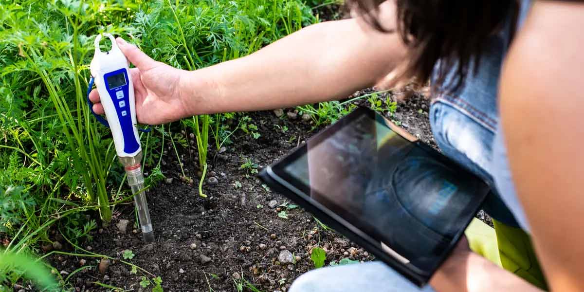 How to Tell if Soil is Acidic or Alkaline