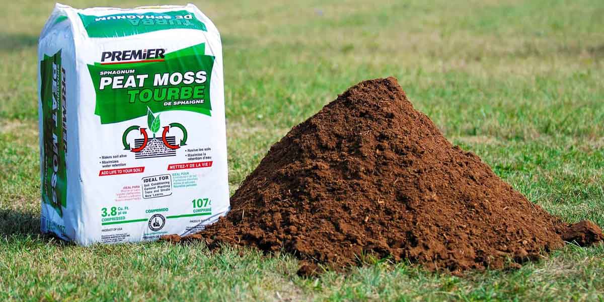 Is Peat Moss Good for Lawns