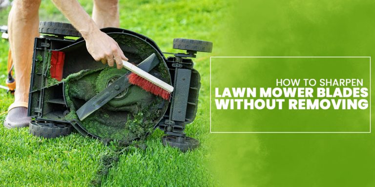 How to Sharpen Lawn Mower Blades Without Removing?
