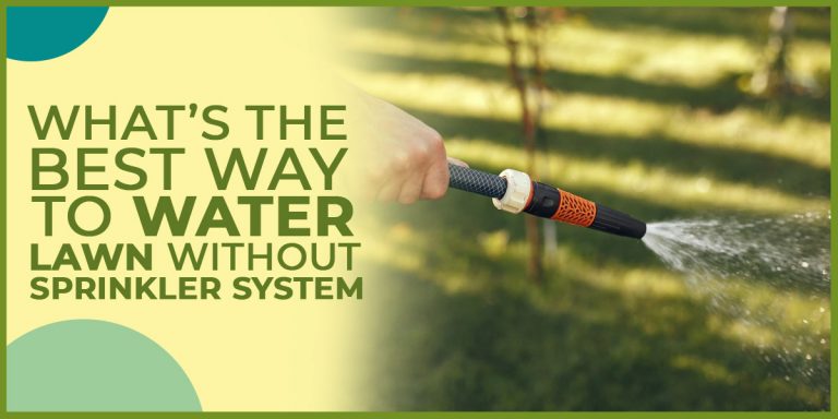 What’s the Best Way to Water Lawn Without a Sprinkler System