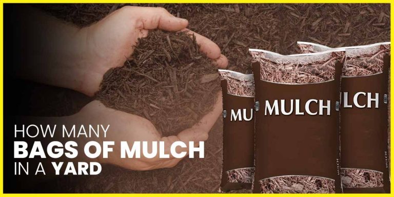 How Many Bags of Mulch In a Yard?