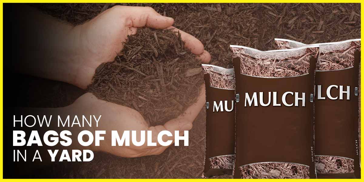 How Many Bags of Mulch In a Yard