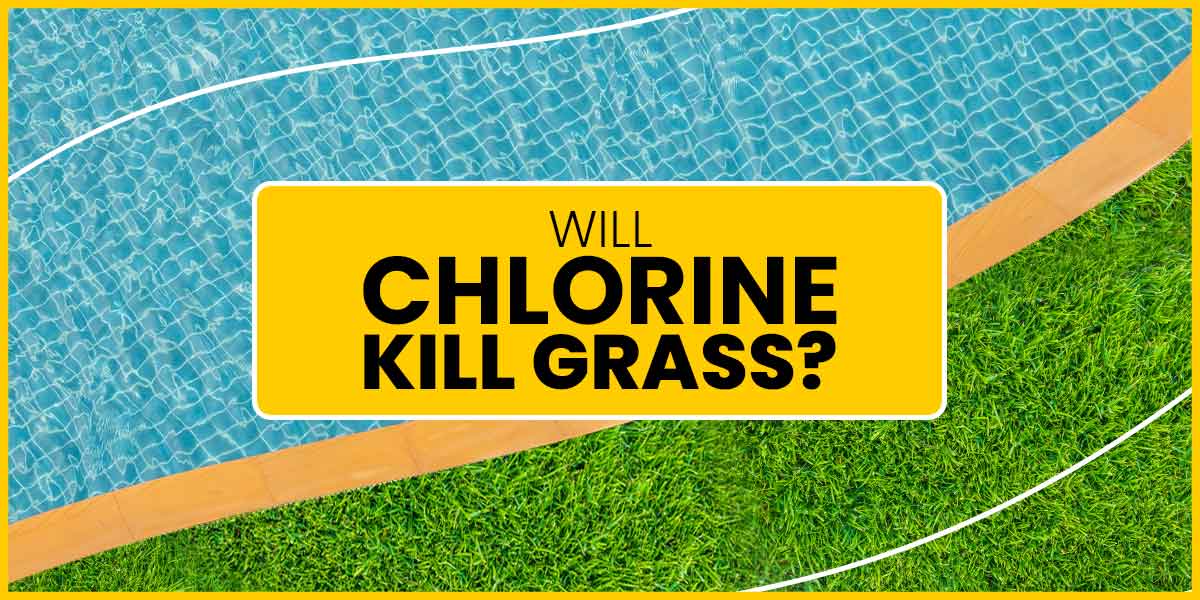 will chlorine kill grass