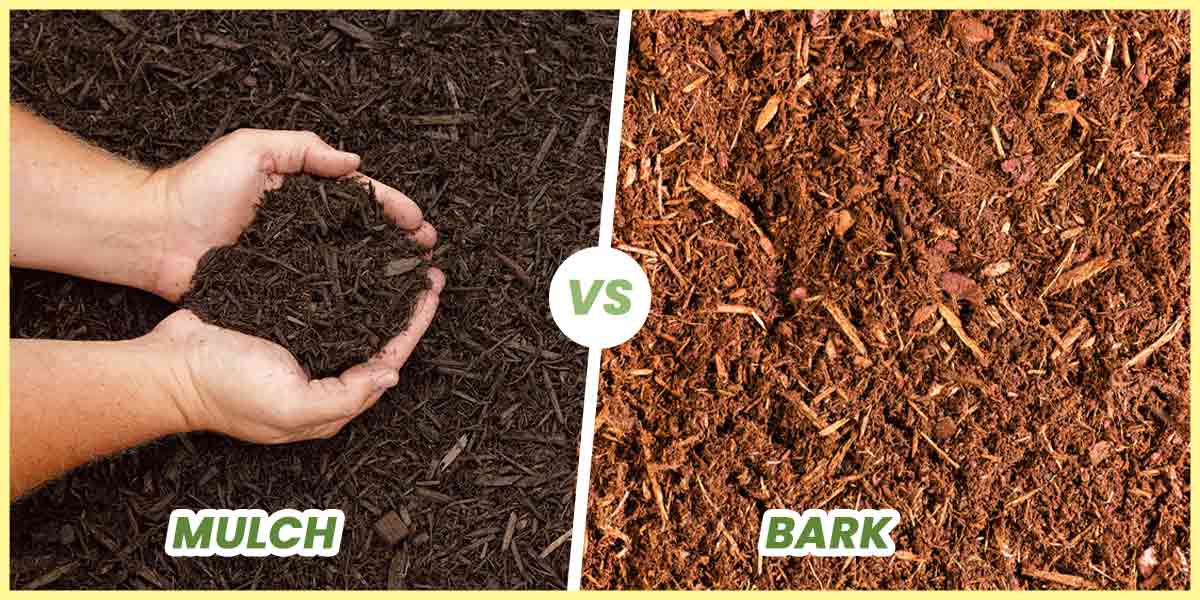 Mulch vs bark