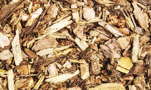 difference between mulch and bark
