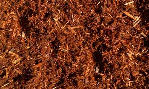 difference between bark and mulch
