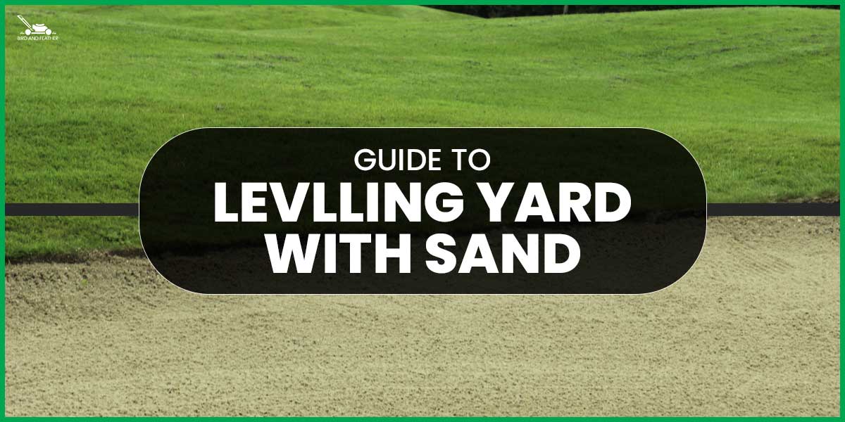 Guide To Leveling Yard With Sand