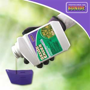 herbicide that kills everything but bermuda