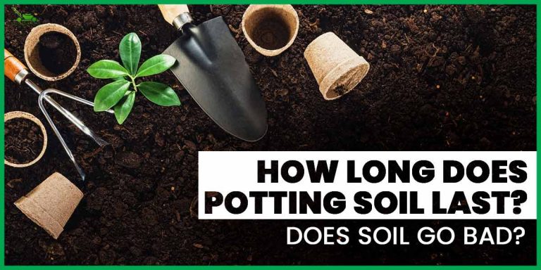 How Long Does Potting Soil last? Does Soil Go Bad?