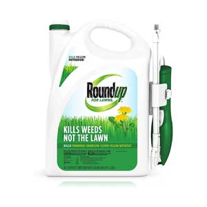 weed control for bermuda grass round up 