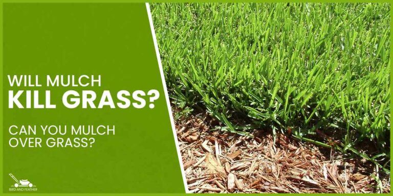 Will Mulch Kill Grass? Can You Mulch Over Grass?