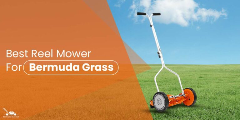 5 Best Reel Mower For Bermuda Grass