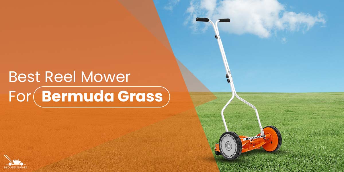 Best Reel mower for Bermuda grass