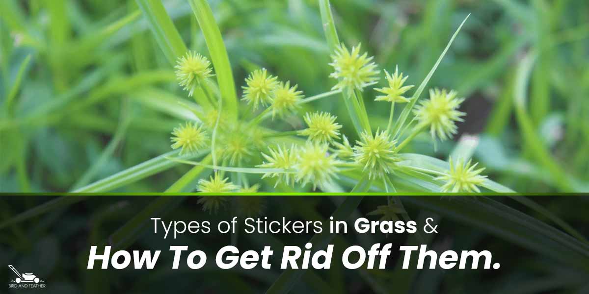 types of stickers in grass