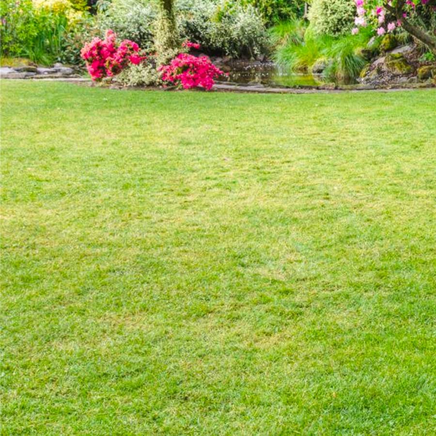 should i water my lawn after mowing
