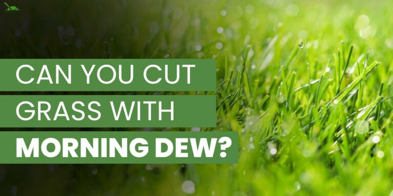 Can You Cut Grass With Morning Dew? | What Is Best Time To Mow Lawn?
