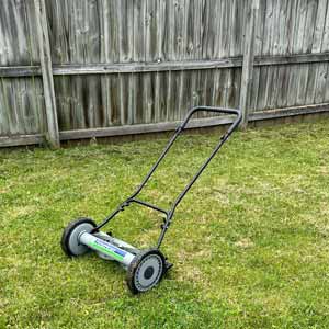 american best mower for zoysia grass 2 