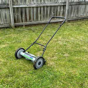 american best mower for zoysia grass