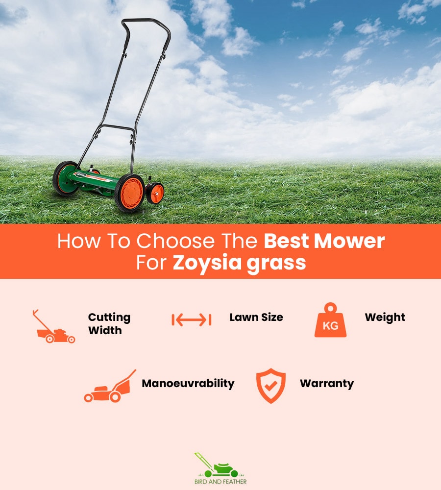 How To Choose The Best Mower For Zoysia grass?