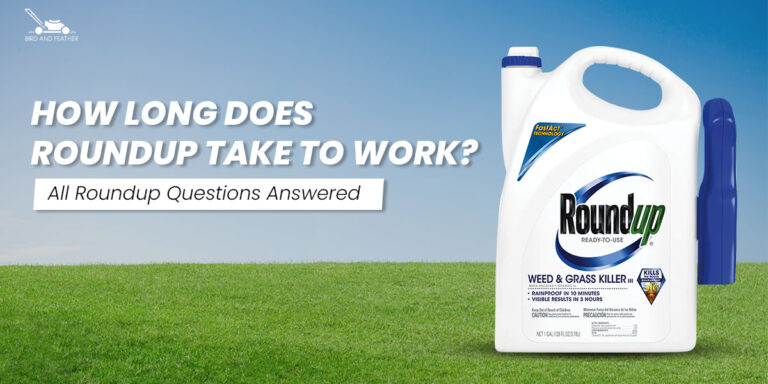 How Long Does Roundup Take to Work? | All Roundup Questions Answered