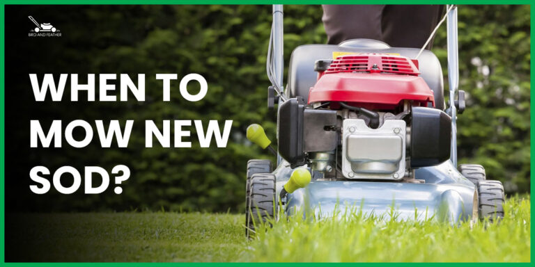 When to Mow New Sod? | A Comprehrensive Guide to Mowing New Sod
